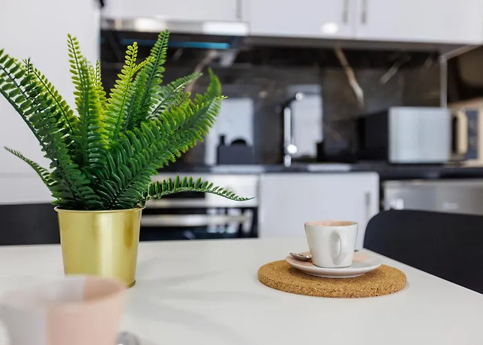 Live In Rossio Appartement Aveiro